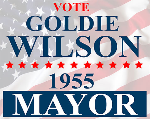 Political signs sample3
